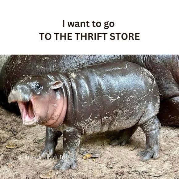 THRIFTEDBYKELBI IS LIVE - LIKE THIS TO BE NOTIFIED!🤍 - Picture 14 of 16